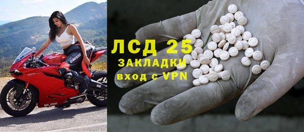 прущие грибы Абдулино