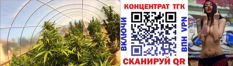 МЕГА онион  Петров Вал  Дистиллят ТГК гашишное масло 