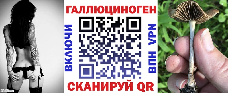 Галлюциногенные грибы GOLDEN TEACHER  Петров Вал 